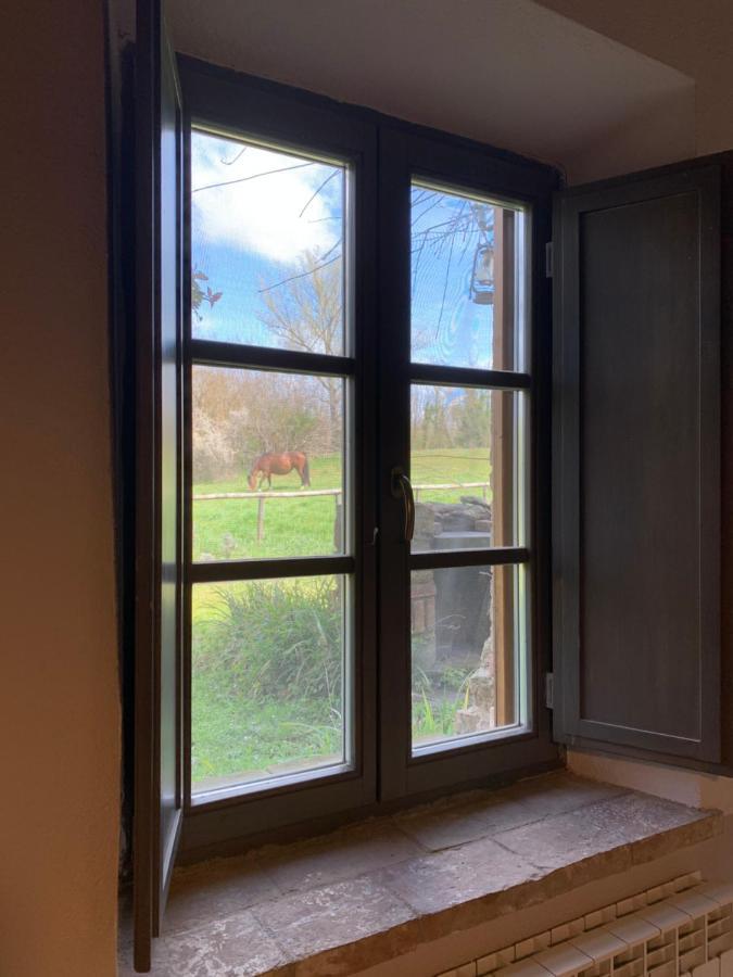 Capannacce Organic And Horse Farm Villa Rapolano Terme Luaran gambar