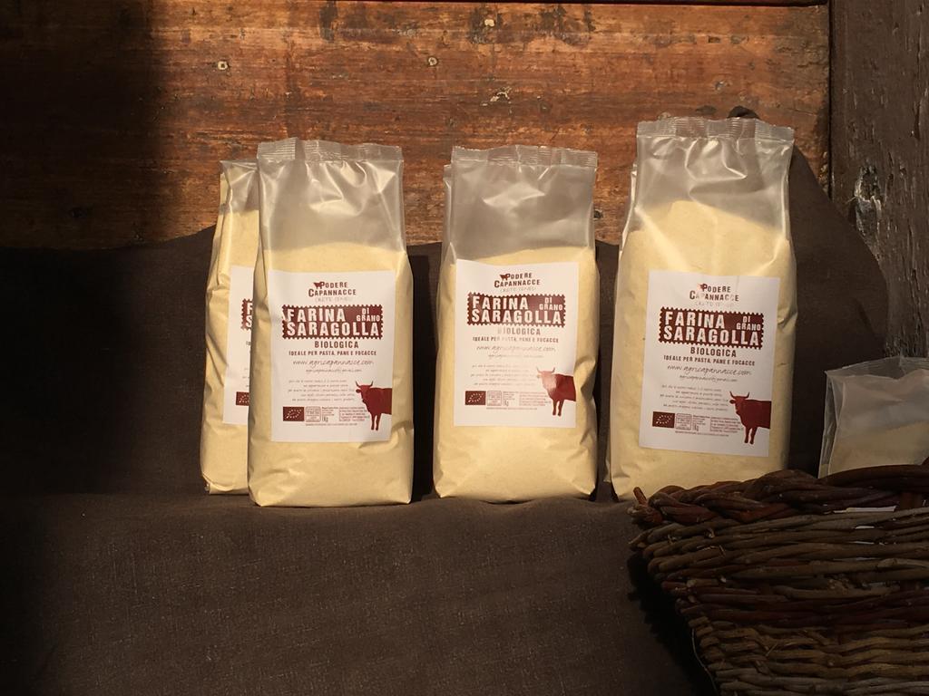 Capannacce Organic And Horse Farm Villa Rapolano Terme Luaran gambar