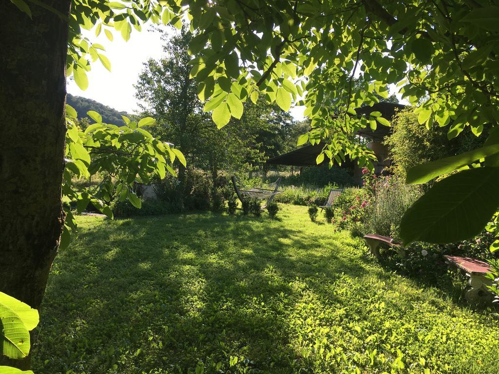Capannacce Organic And Horse Farm Villa Rapolano Terme Luaran gambar