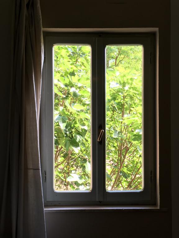 Capannacce Organic And Horse Farm Villa Rapolano Terme Luaran gambar