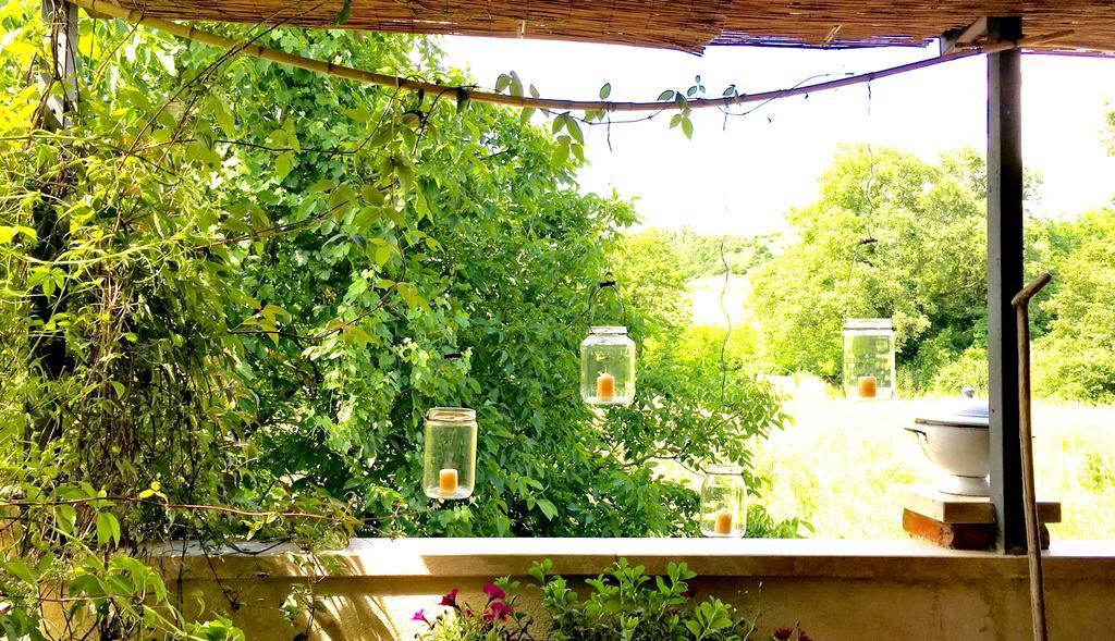 Capannacce Organic And Horse Farm Villa Rapolano Terme Luaran gambar