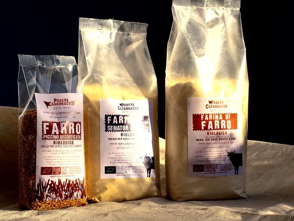 Capannacce Organic And Horse Farm Villa Rapolano Terme Luaran gambar