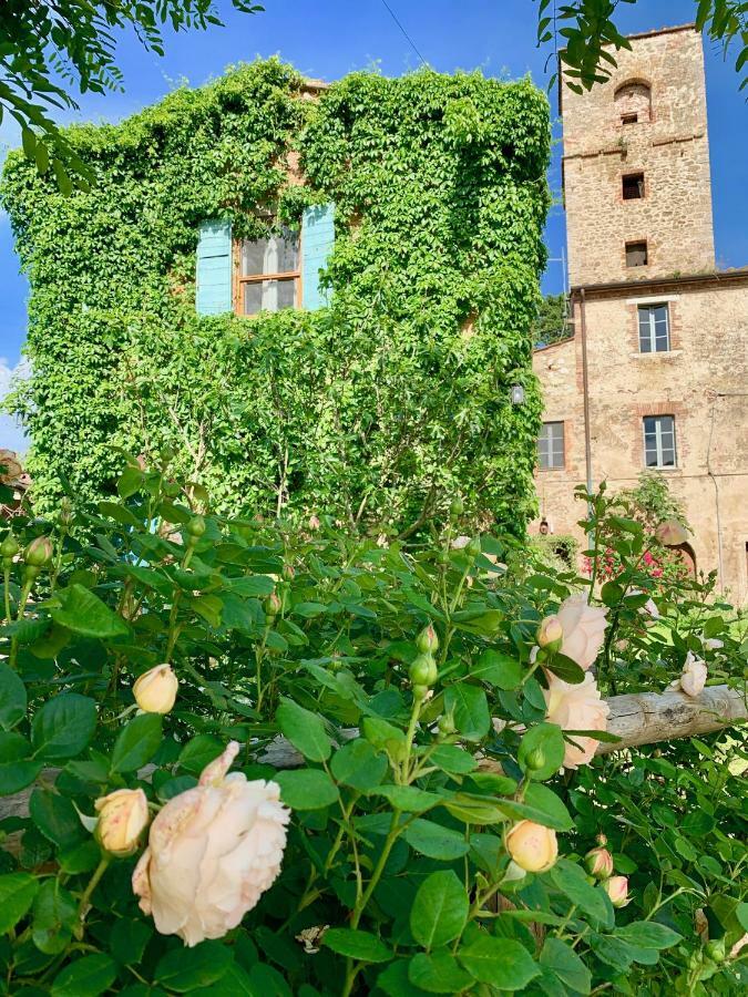 Capannacce Organic And Horse Farm Villa Rapolano Terme Bilik gambar